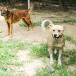 20250815-fotos-inessa-04