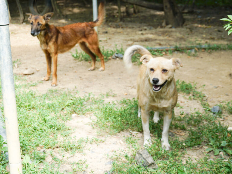 20250815-fotos-inessa-04