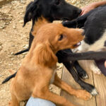 20250815-fotos-irma-1