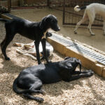 20250815-fotos-irma-5