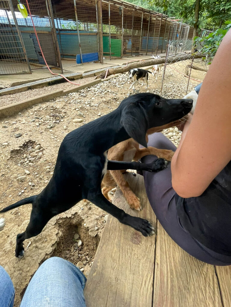 20250815-fotos-isidora-1