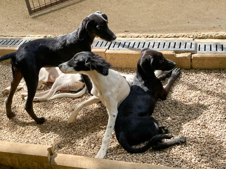 20250815-fotos-isidora-2