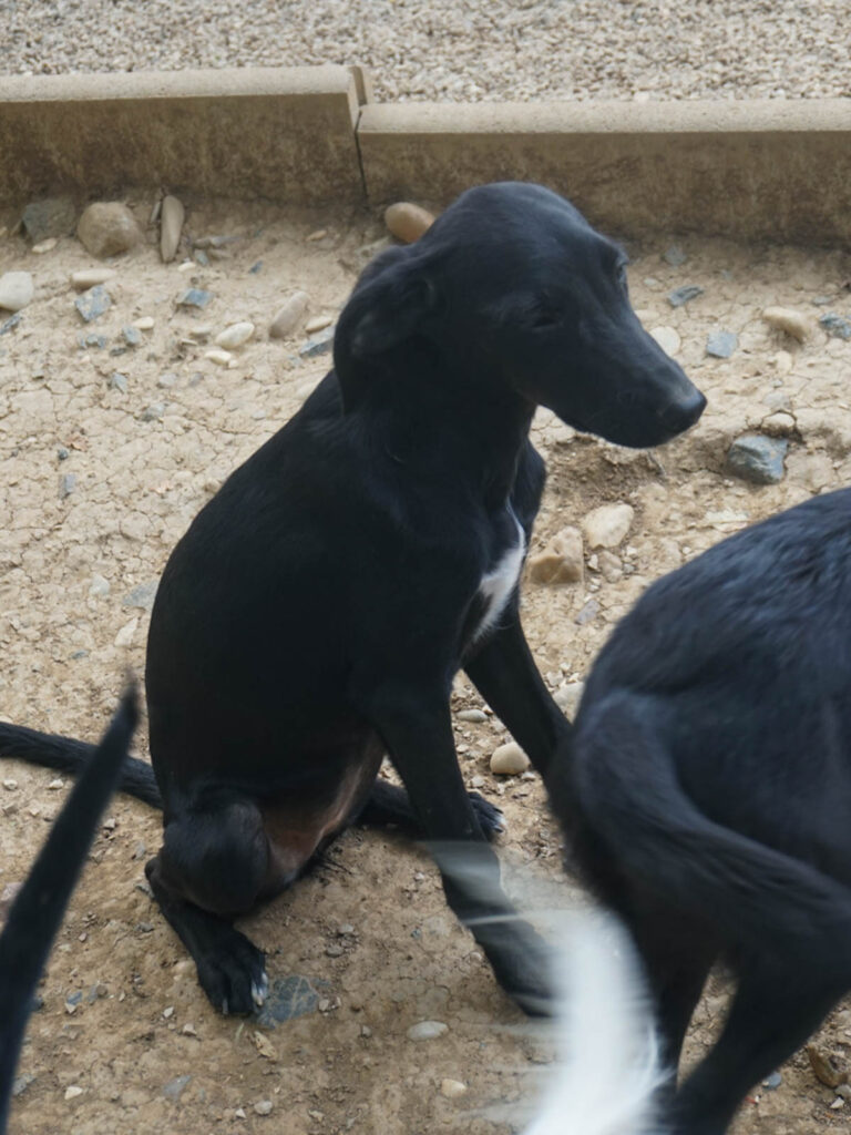 20250815-fotos-isidora-3