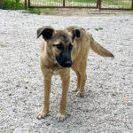 20250815-fotos-josephine-2