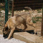 20250815-fotos-josephine-6