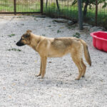 20250815-fotos-josephine-8