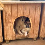 20250815-fotos-juliana-1