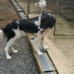 20250815-fotos-ledo-2