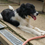 20250815-fotos-ledo-3