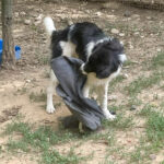 20250815-fotos-ledo-4