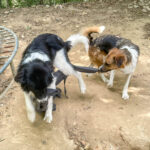 20250815-fotos-ledo-5