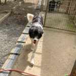 20250815-fotos-ledo-6