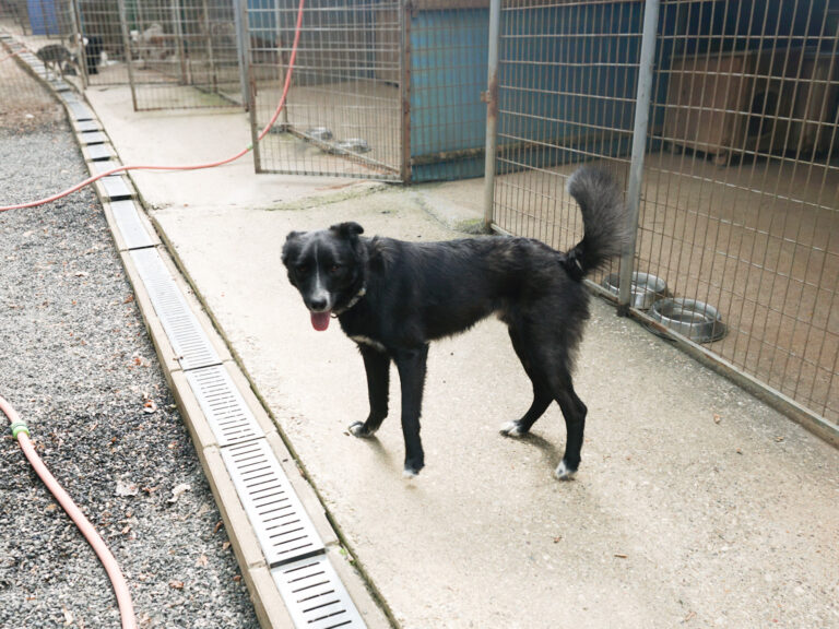 20250815-fotos-lewi-02