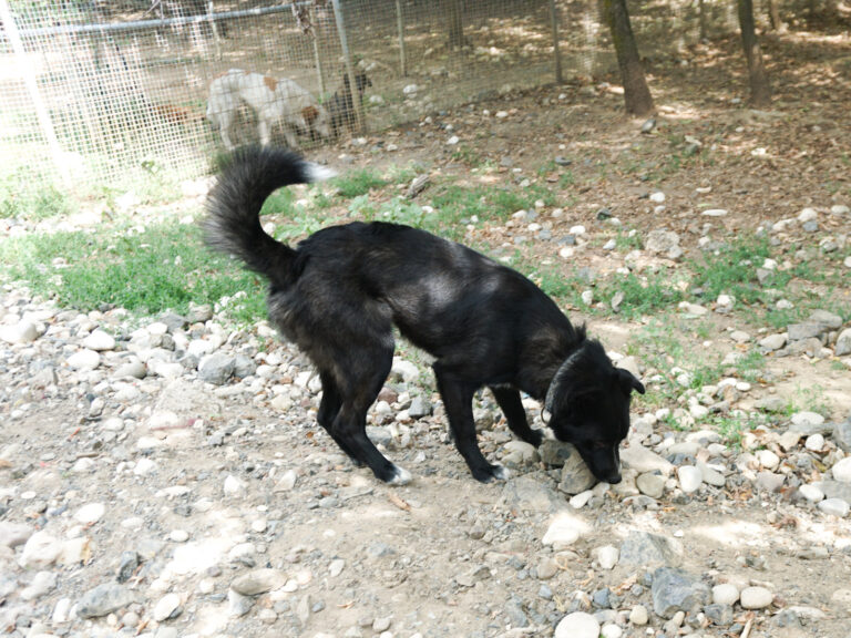 20250815-fotos-lewi-03