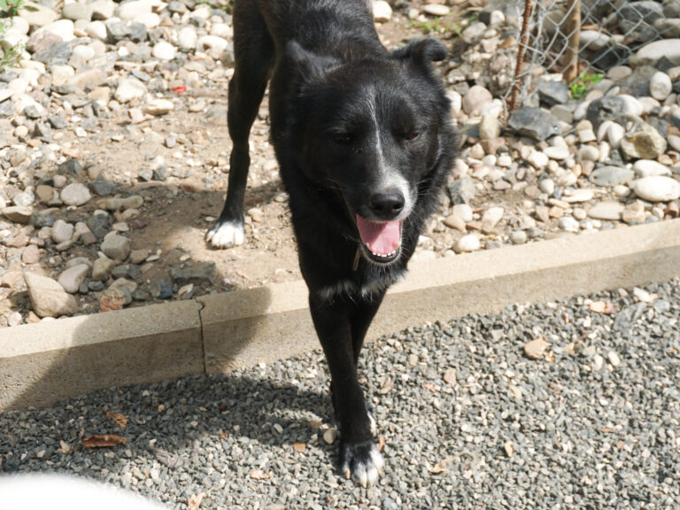 20250815-fotos-lewi-04