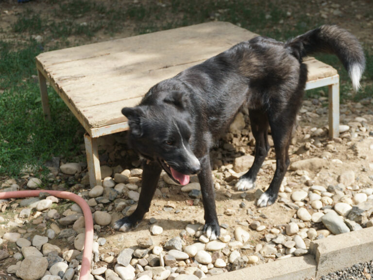 20250815-fotos-lewi-05