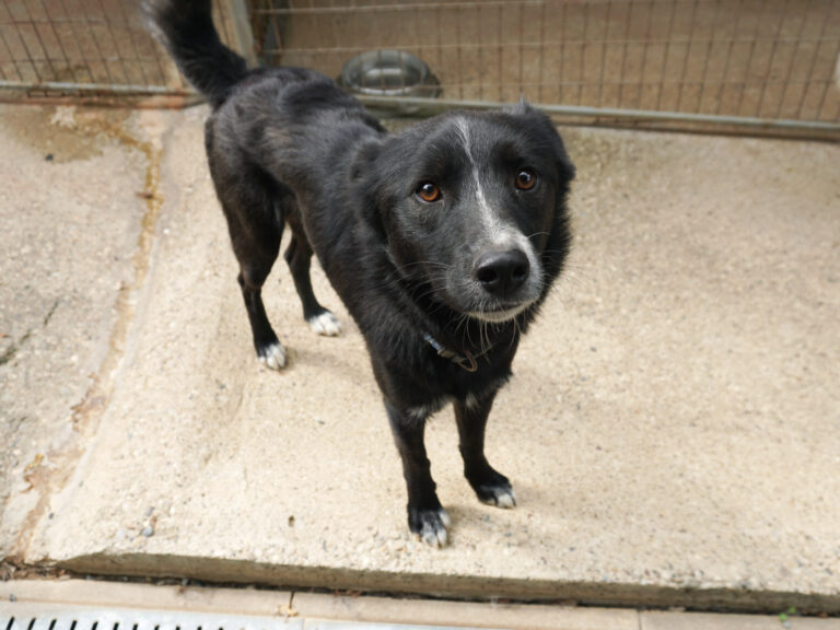 20250815-fotos-lewi-11