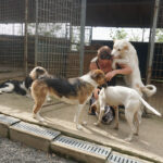 20250815-fotos-lima-1