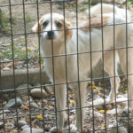 20250816-fotos-annemarie-04