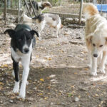 20250816-fotos-chantal-01