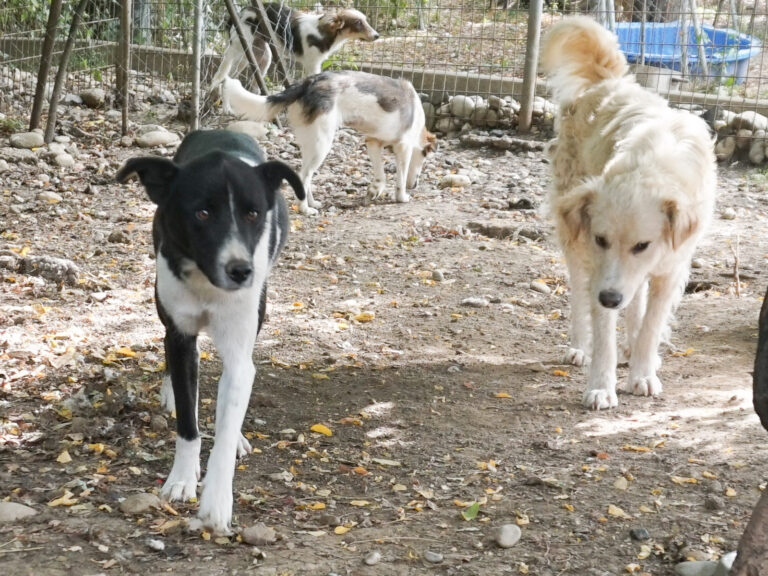 20250816-fotos-chantal-01