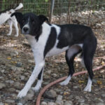 20250816-fotos-chantal-02