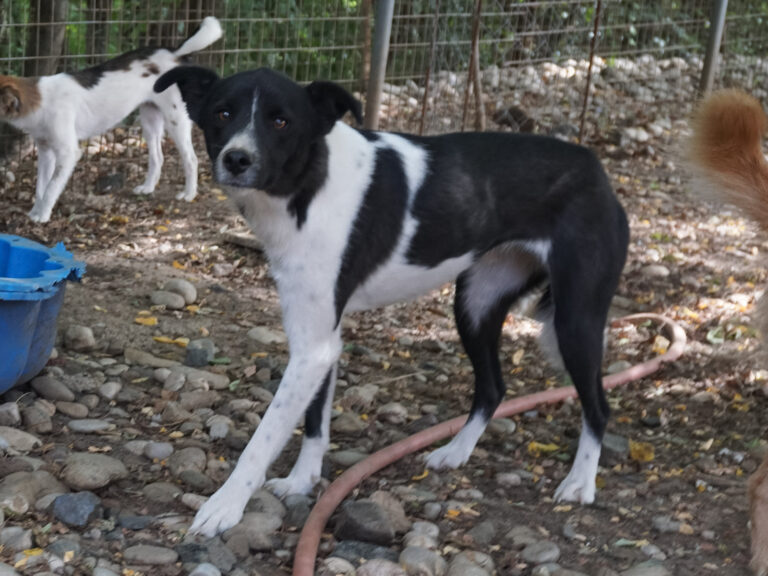 20250816-fotos-chantal-02