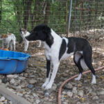 20250816-fotos-chantal-06