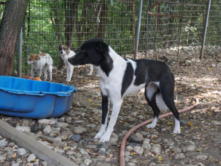 20250816-fotos-chantal-06