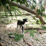 20250816-fotos-chantal-07