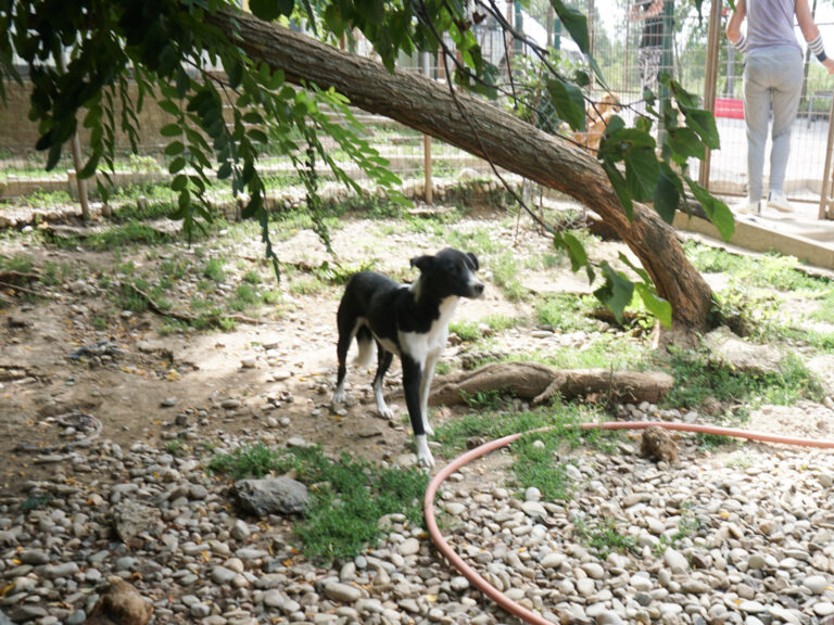 20250816-fotos-chantal-07