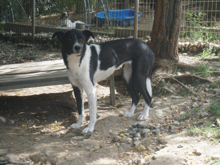 20250816-fotos-chantal-08 (1)