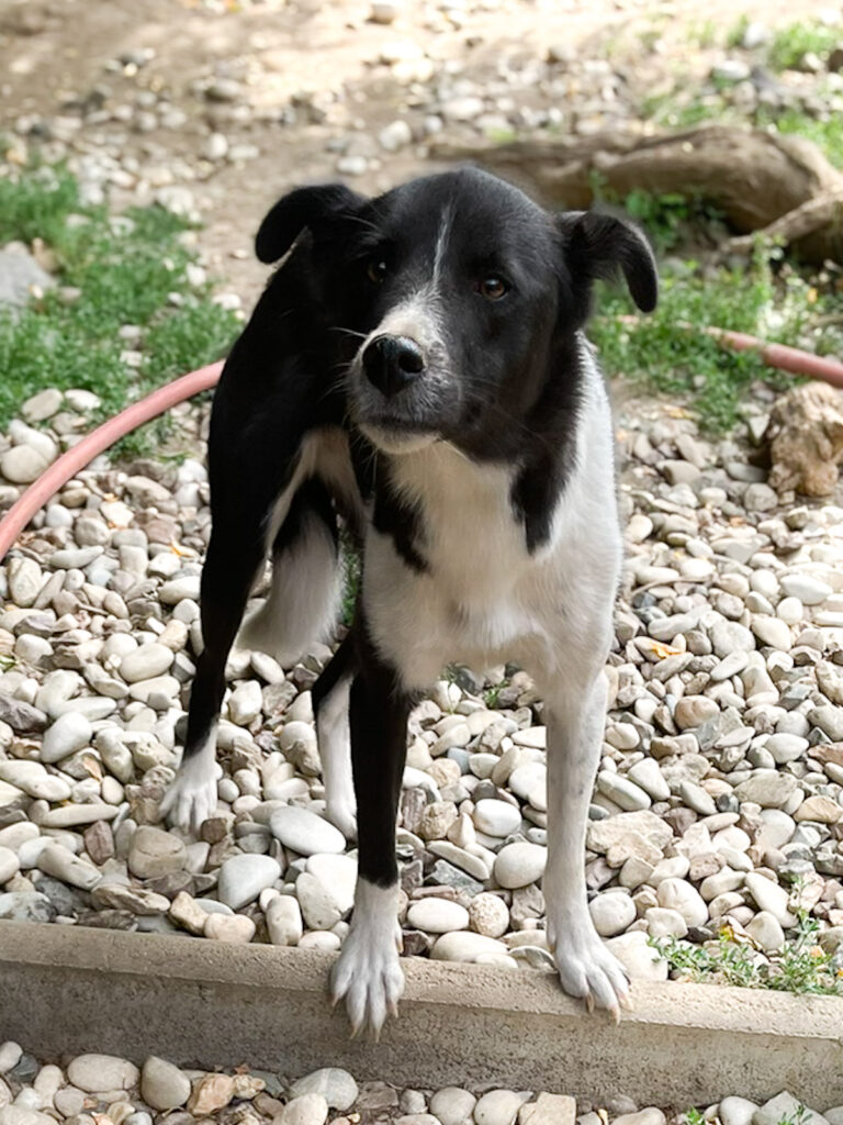 20250816-fotos-chantal-08