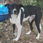 20250816-fotos-chantal-09 (1)