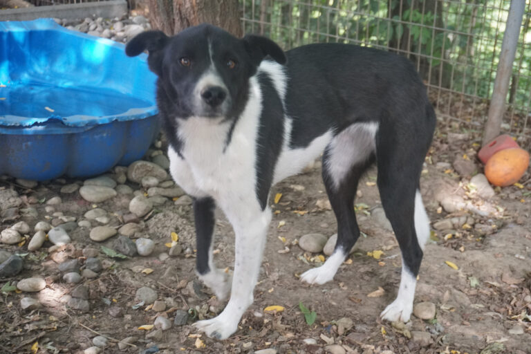 20250816-fotos-chantal-09 (1)