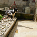 20250816-fotos-chantal-10