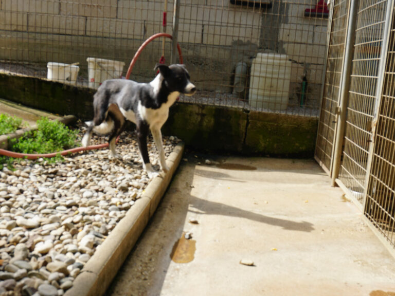 20250816-fotos-chantal-10