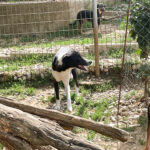 20250816-fotos-chantal-11