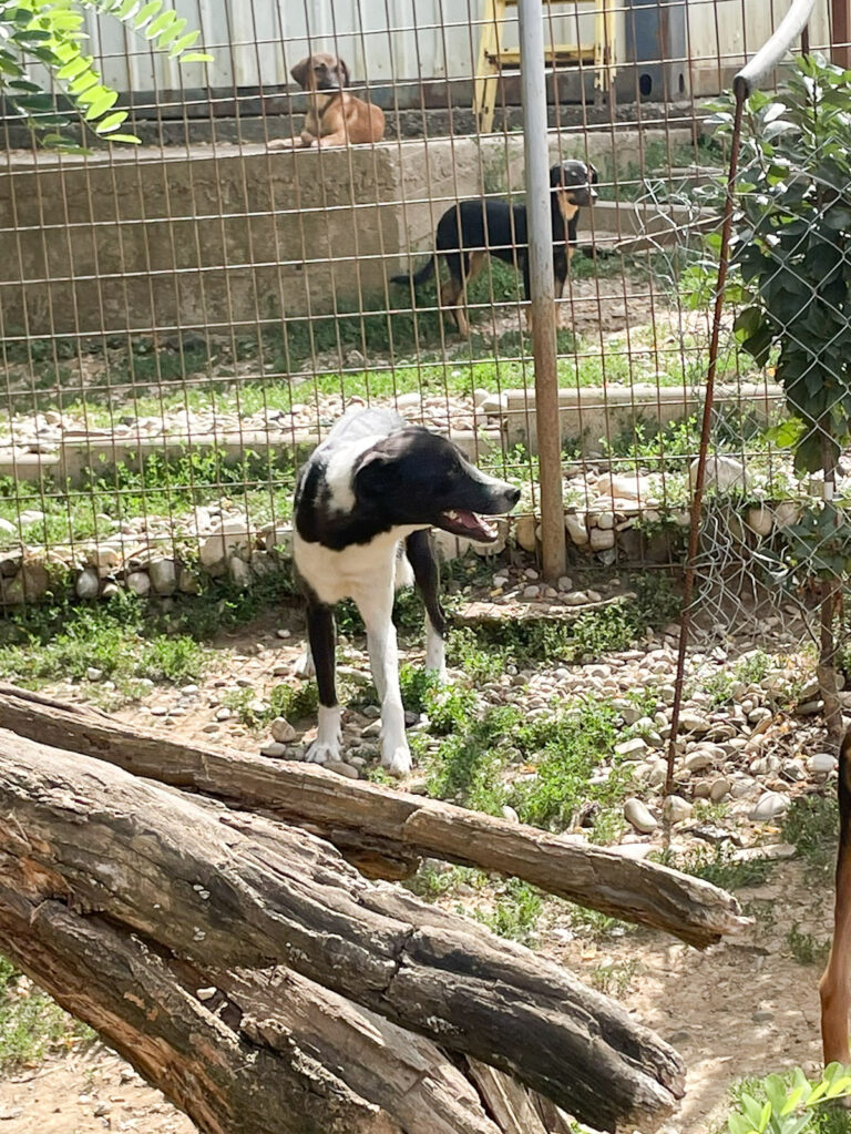 20250816-fotos-chantal-11