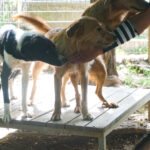 20250816-fotos-chantal-12