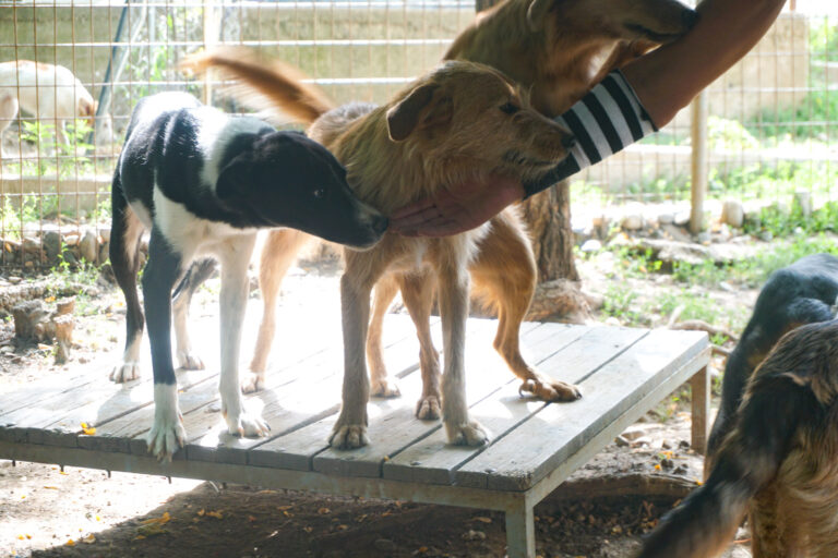 20250816-fotos-chantal-12