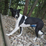 20250816-fotos-chantal-13