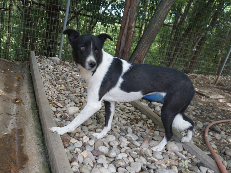 20250816-fotos-chantal-13