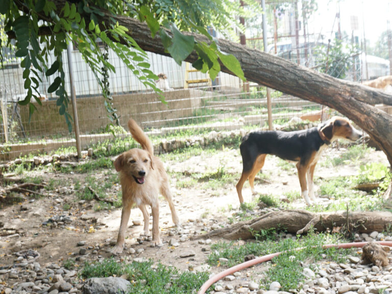 20250816-fotos-darcy-1