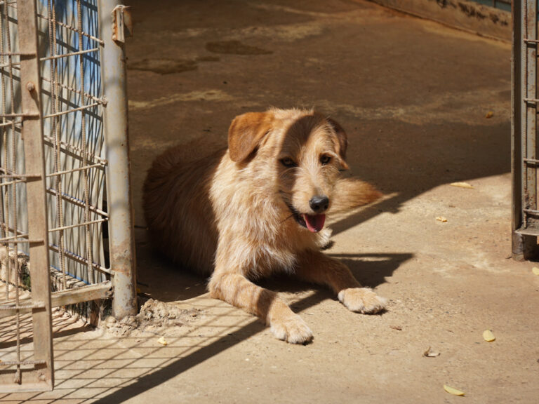 20250816-fotos-darcy-5