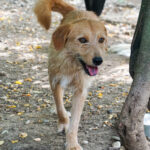 20250816-fotos-darcy-6