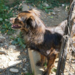 20250816-fotos-emilija-1