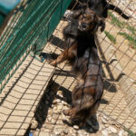 20250816-fotos-emilija-2