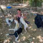 20250816-fotos-fico-09