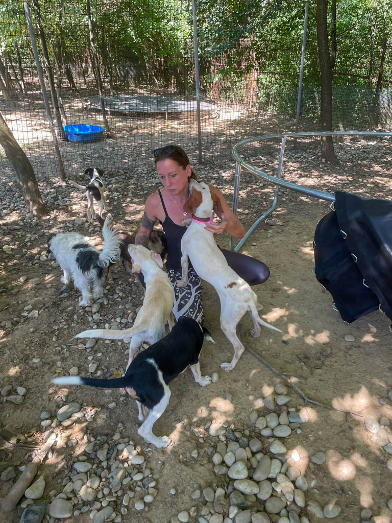 20250816-fotos-fico-09